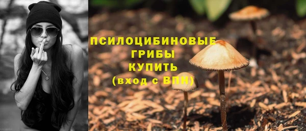 шишки Нягань