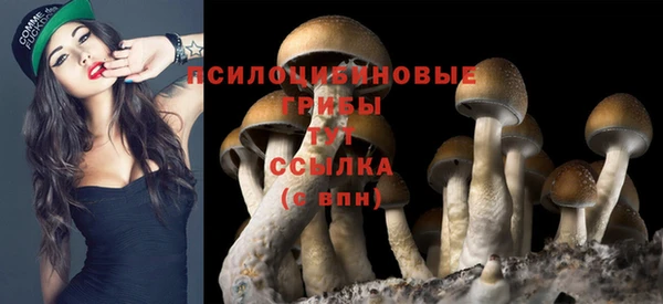 MESCALINE Осташков