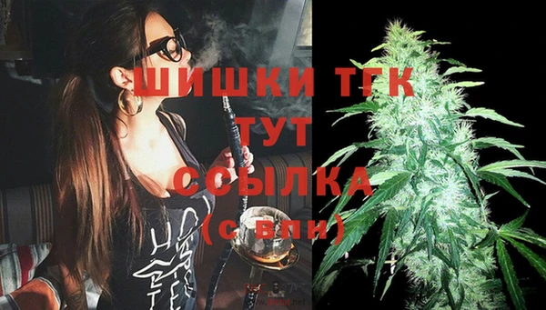 шишки Нягань