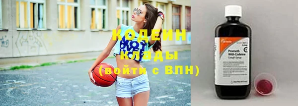 шишки Нягань