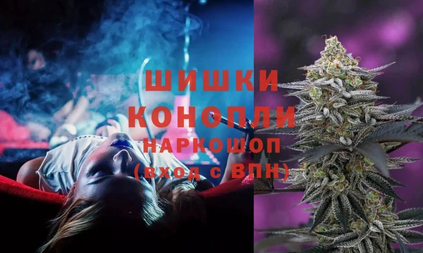 шишки Нягань