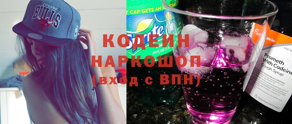 дмт Няндома