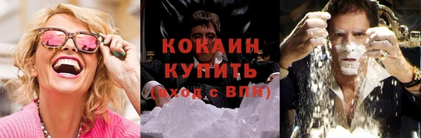 шишки Нягань