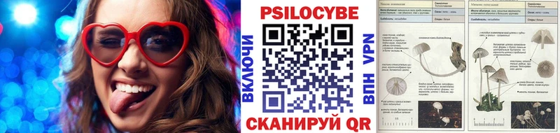 Псилоцибиновые грибы мухоморы Ступино
