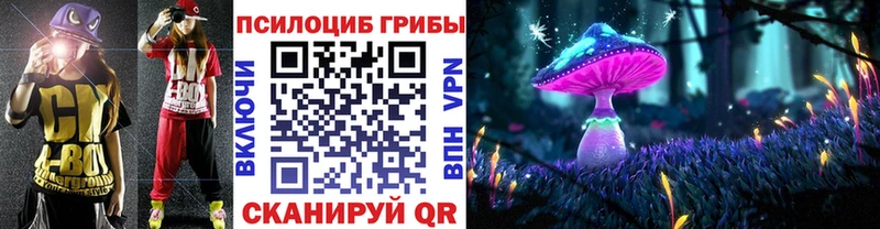 Купить закладки  Ступино  Псилоцибиновые грибы Cubensis 